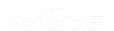 �䰲AI�Ż�